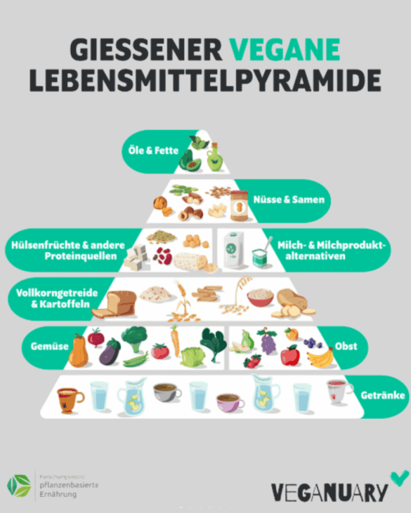 Zum Veganuary: Neue Gießener vegane Lebensmittelpyramide zeigt, wie vollwertige pflanzliche Ernährung gelingt