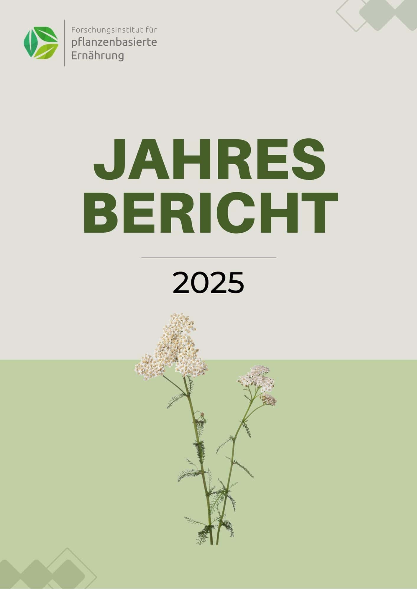 Titelbild des IFPE-Jahresberichts